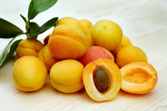 How to grow Apricots