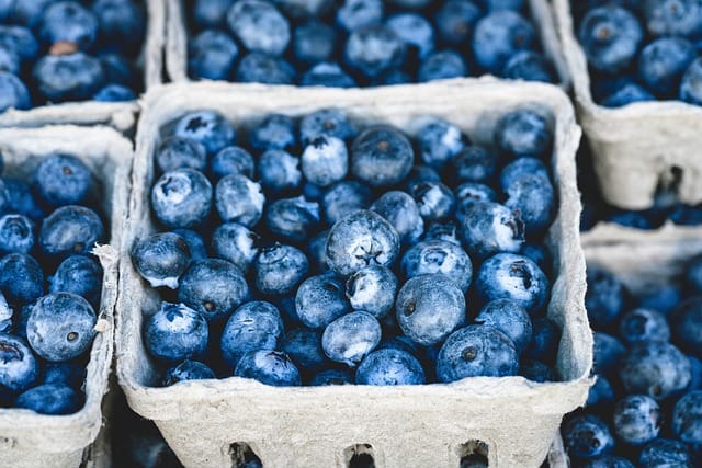 How to grow Blueberries