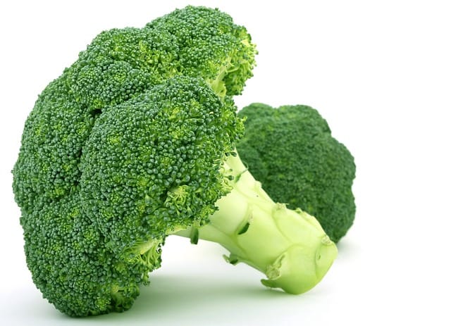 How to grow Broccolis