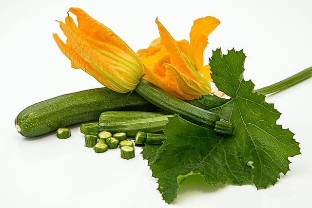 How to grow Courgettes