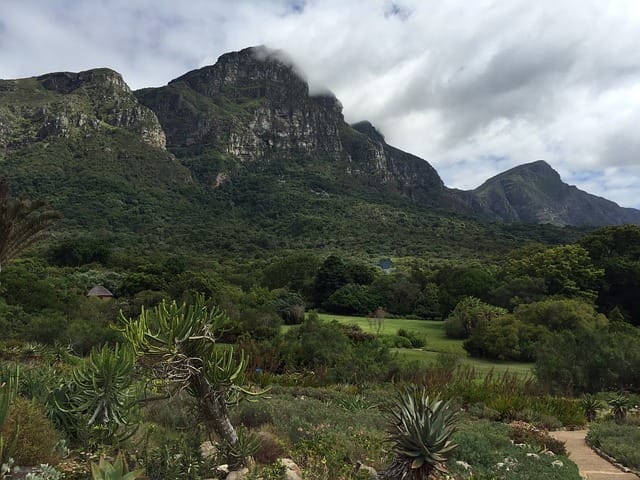 Greatest gardens: Kirstenbosch National Botanical Garden, South Africa