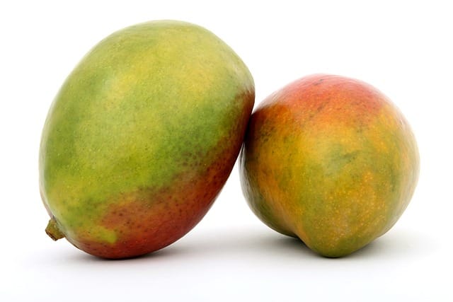 How to grow Mangoes