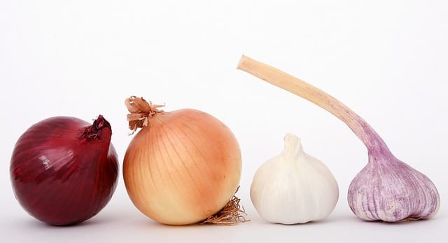 How to grow Onions