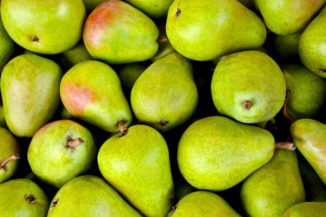 How to grow Pears