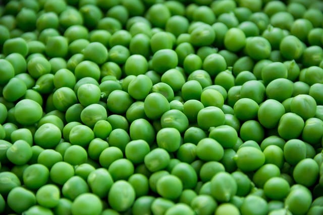 How to grow Peas