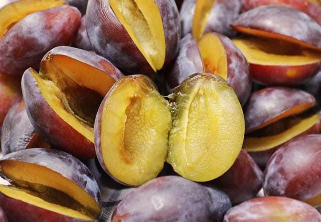 How to grow Plums