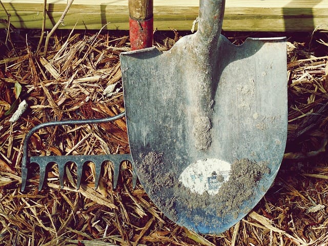 Beginners guide to gardening tools: Shovel