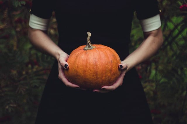 How to grow Squashes